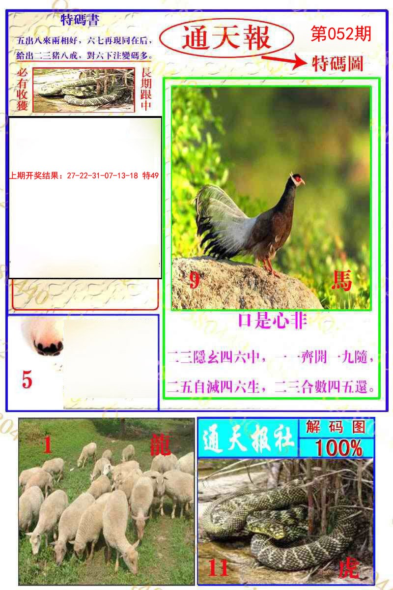 2025052期通天特解图