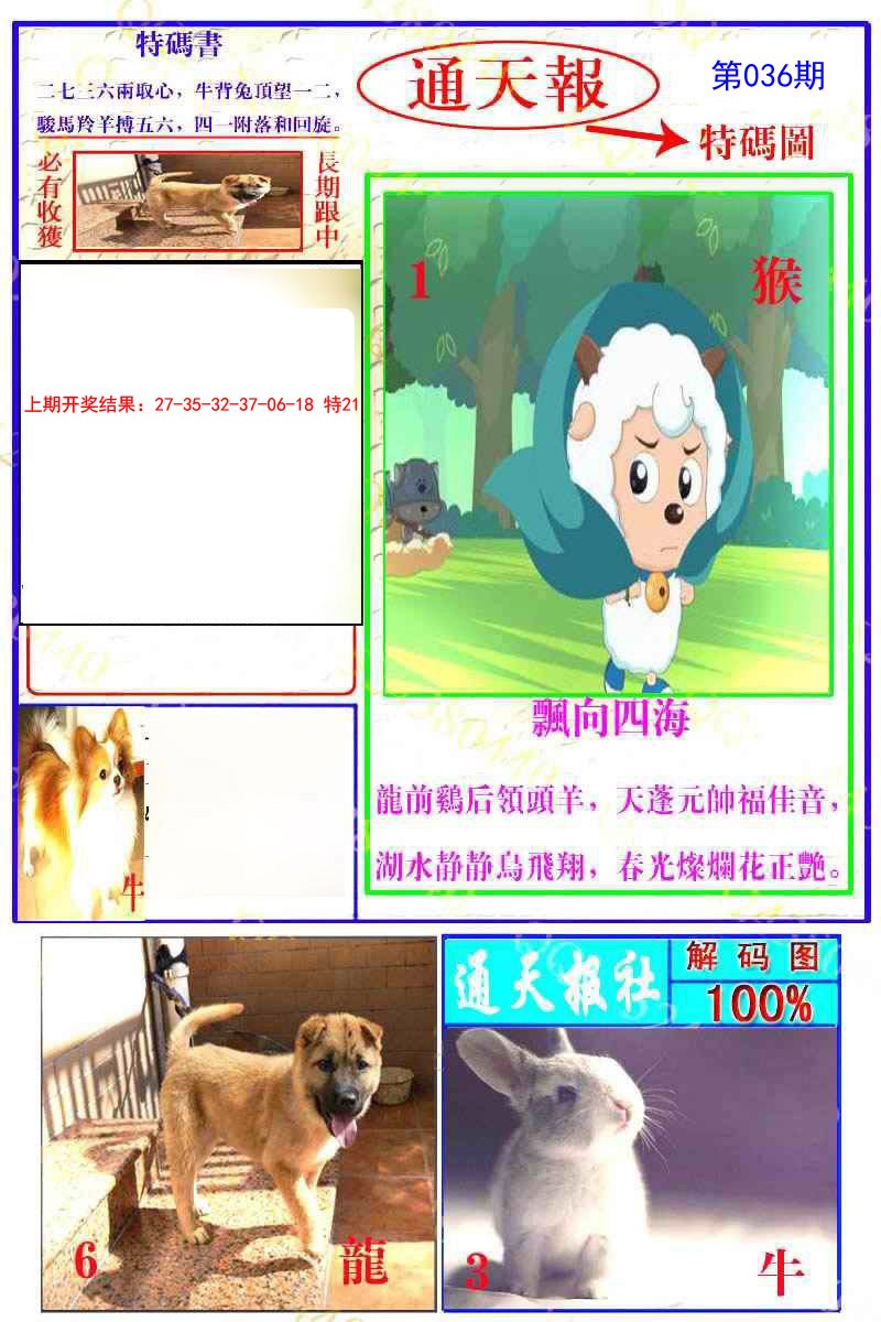 2025036期通天特解图