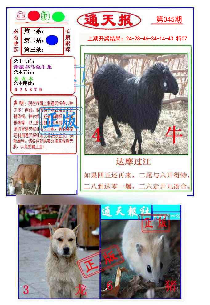 2025045期通天杀波图1