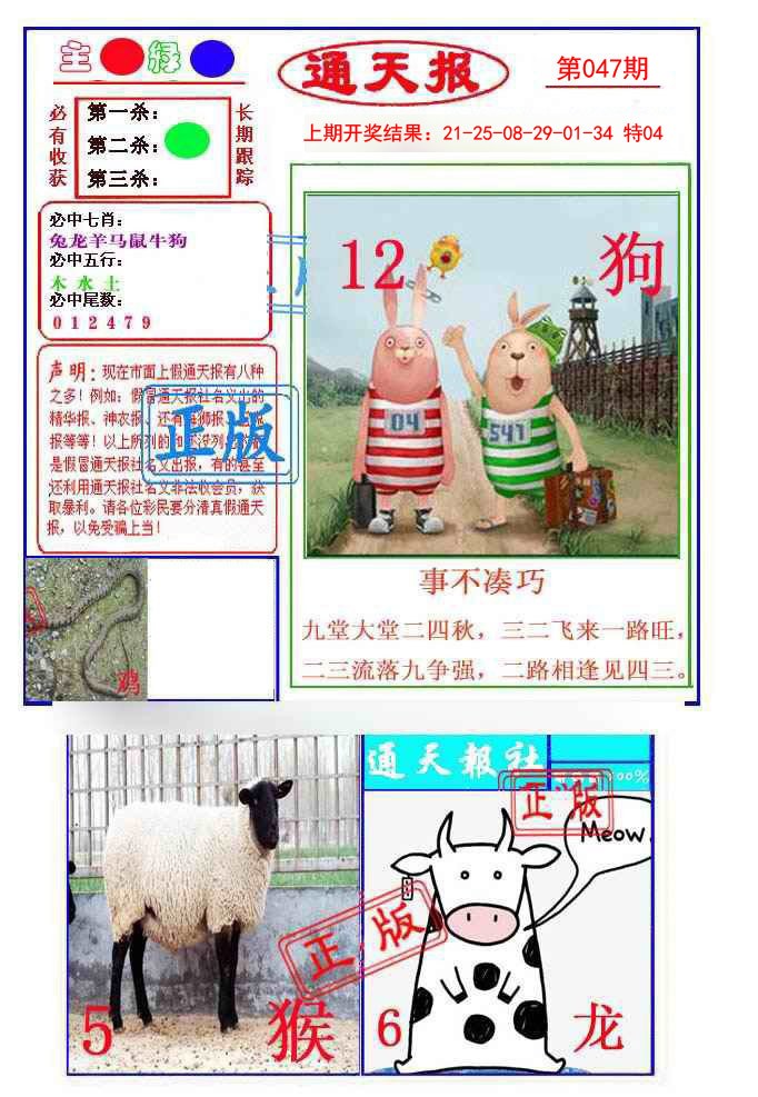 2025047期通天杀波图1