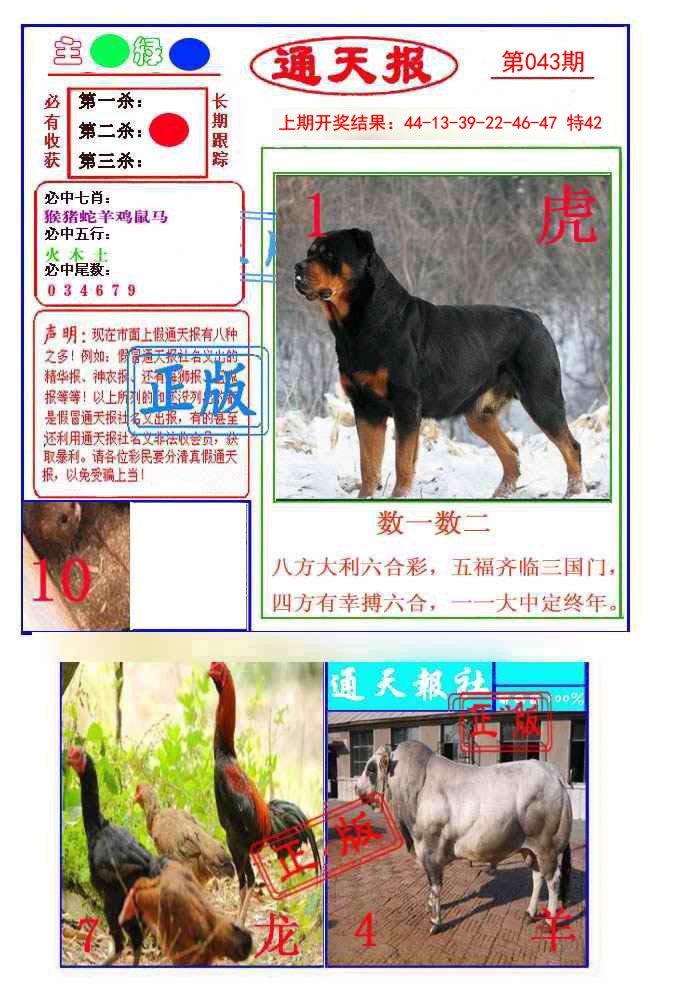 2025043期通天杀波图1