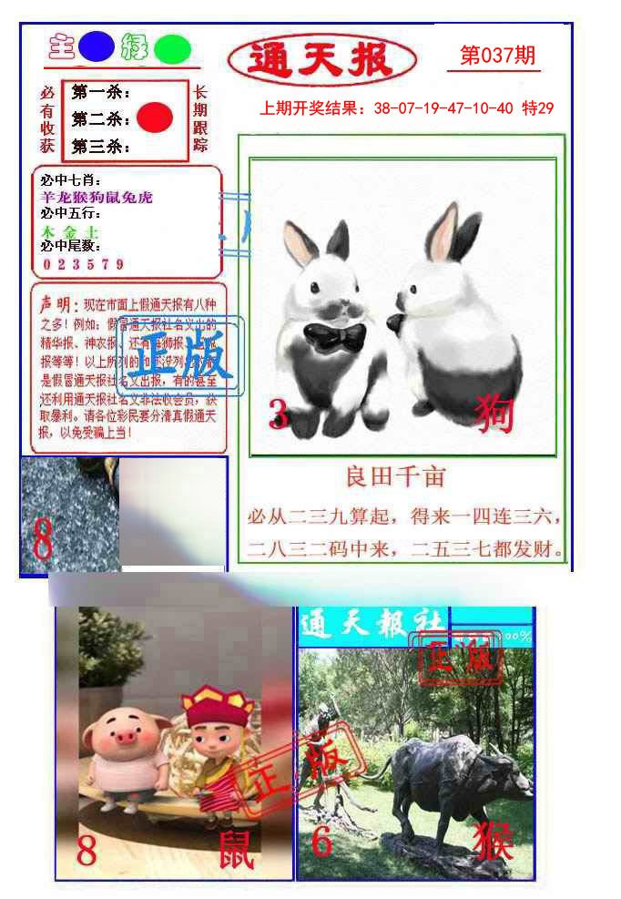 2025037期通天杀波图1