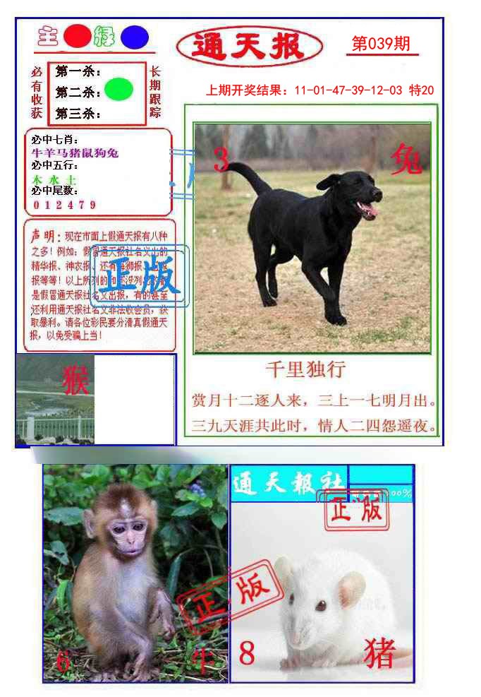 2025039期通天杀波图1