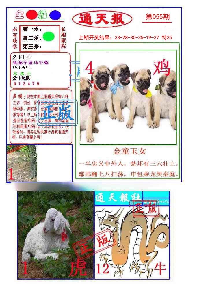 2025055期通天杀波图1