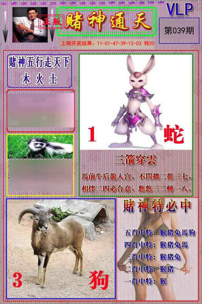 2025039期赌神通天报
