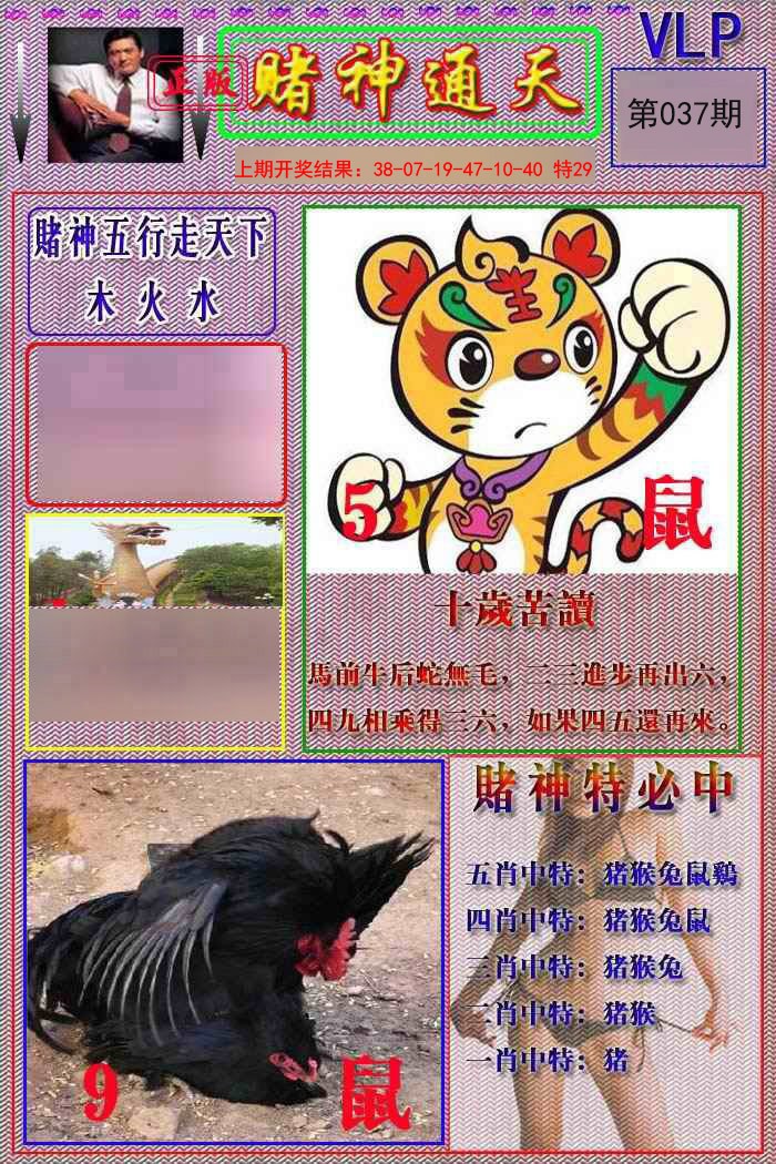 2025037期赌神通天报
