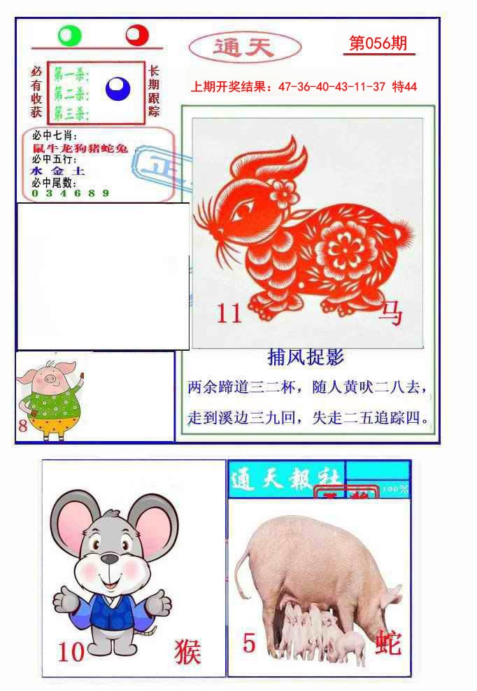 2025056期通天杀波图2