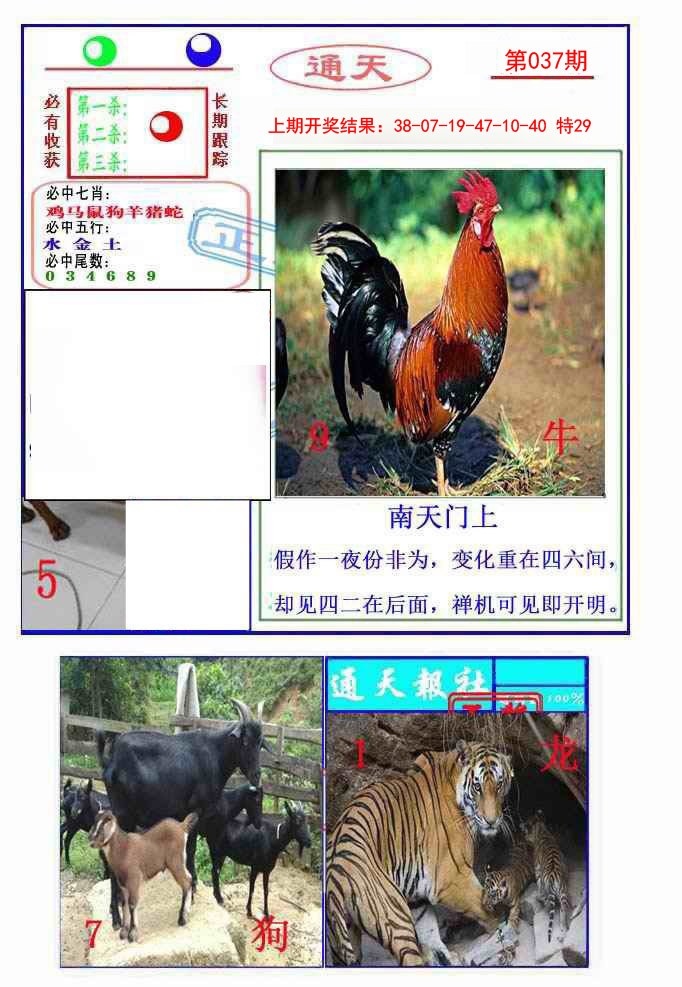 2025037期通天杀波图2