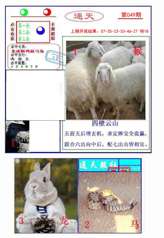 2025049期通天杀波图2