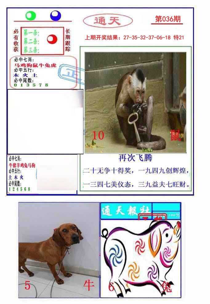 2025036期通天杀波图2