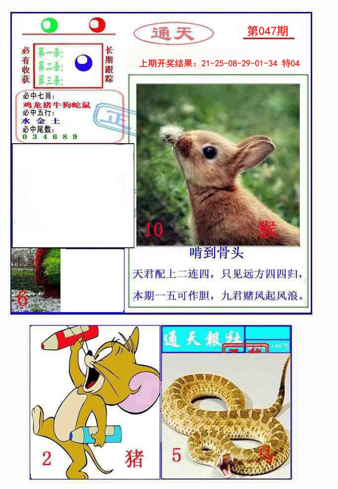 2025047期通天杀波图2