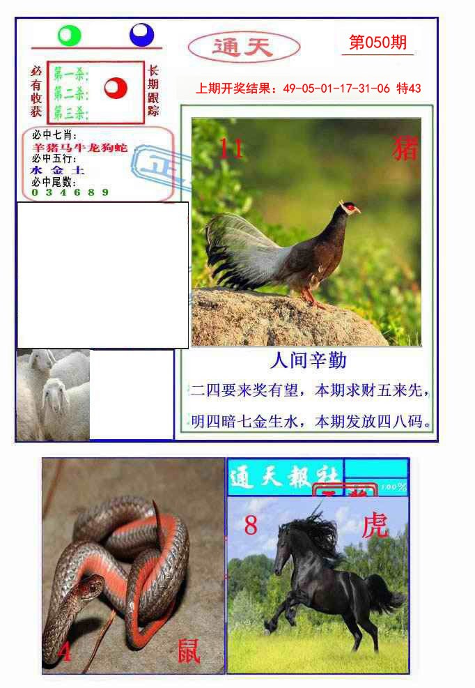 2025050期通天杀波图2