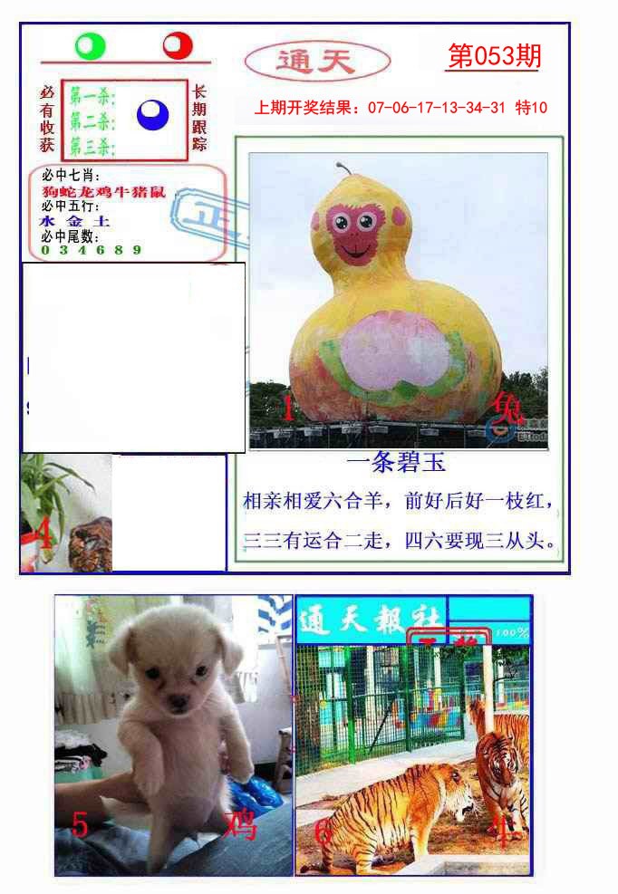 2025053期通天杀波图2