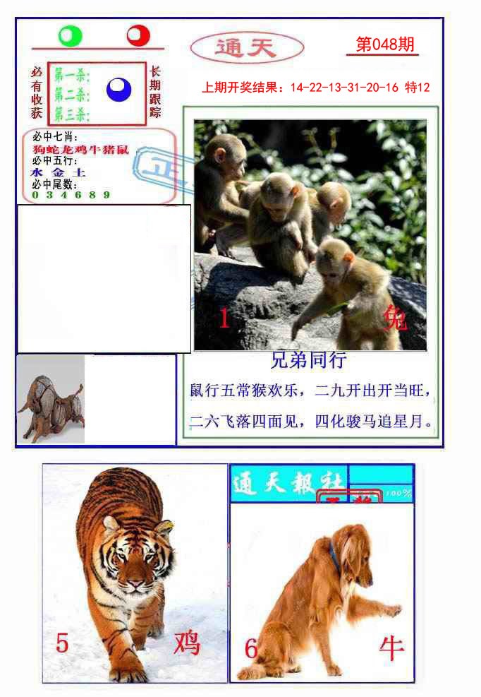 2025048期通天杀波图2
