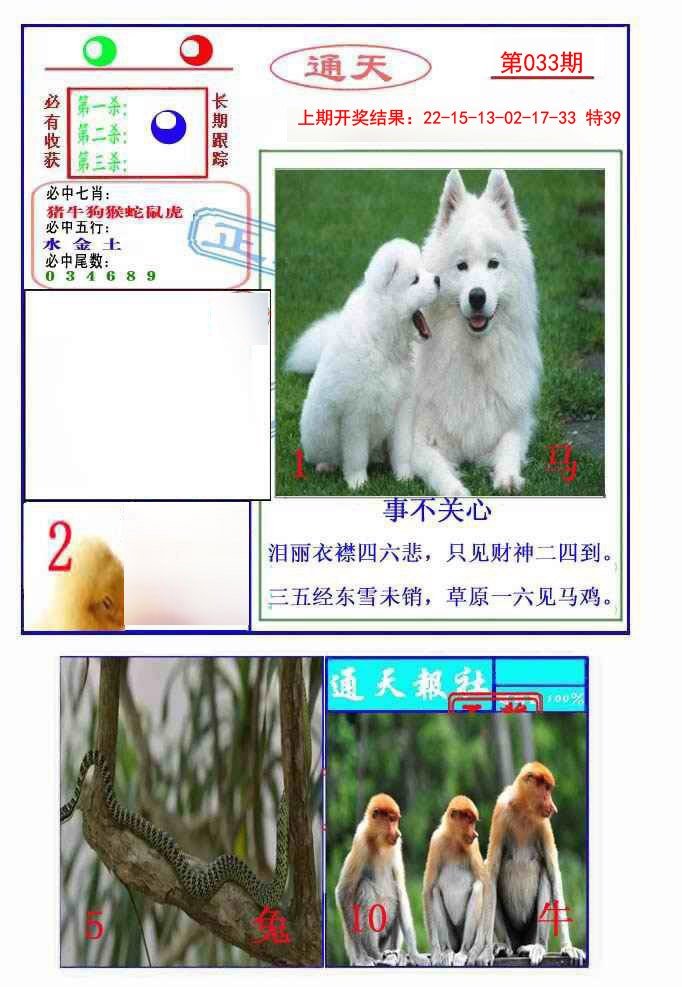 2025033期通天杀波图2