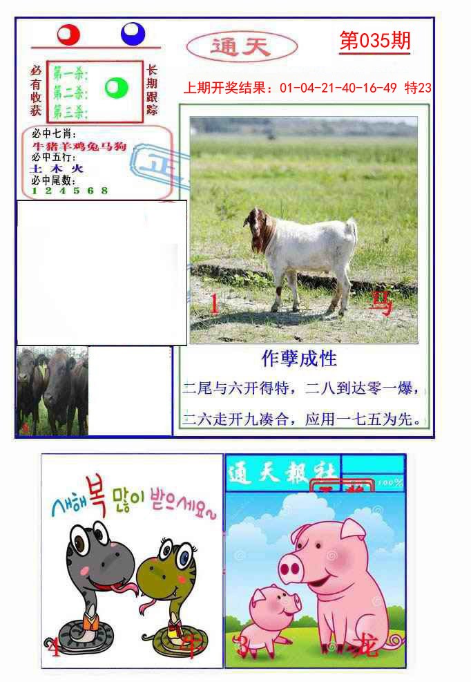 2025035期通天杀波图2