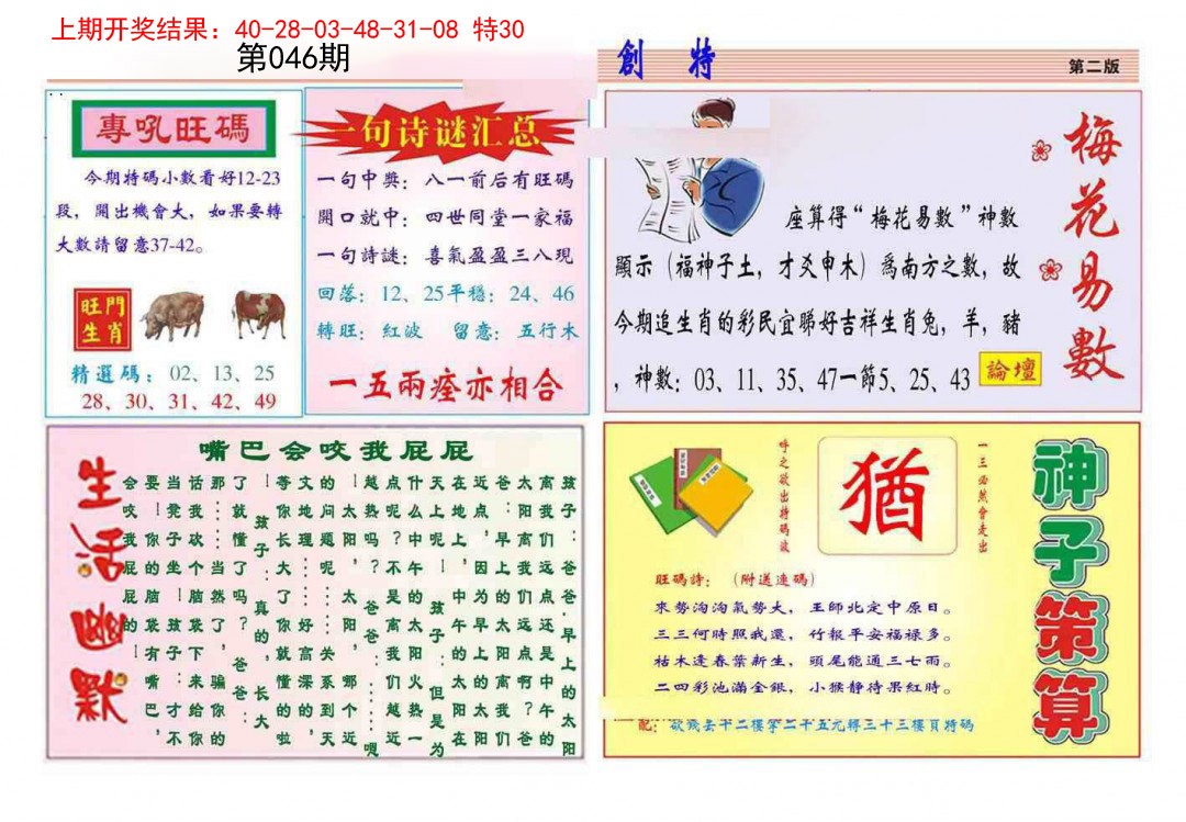 2025046期九龍创特B(推荐)