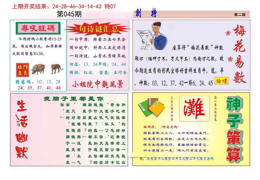 2025045期九龍创特B(推荐)