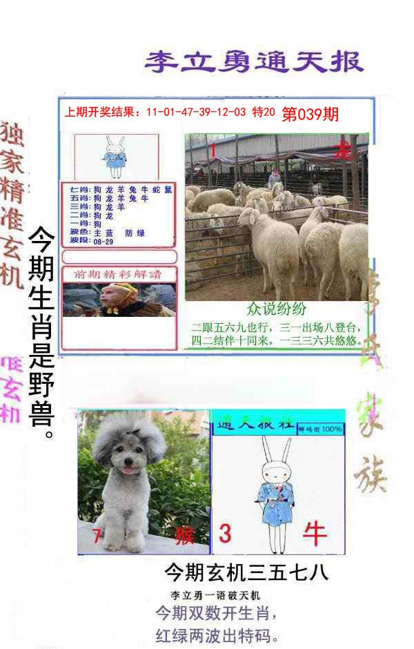 2025039期李立勇通天报