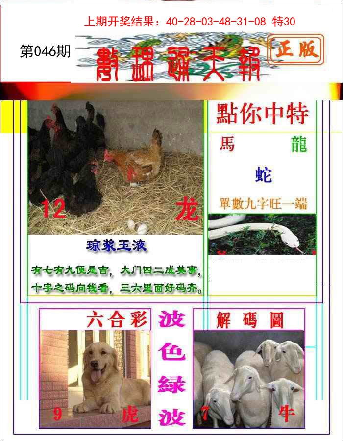 2025046期数理通天