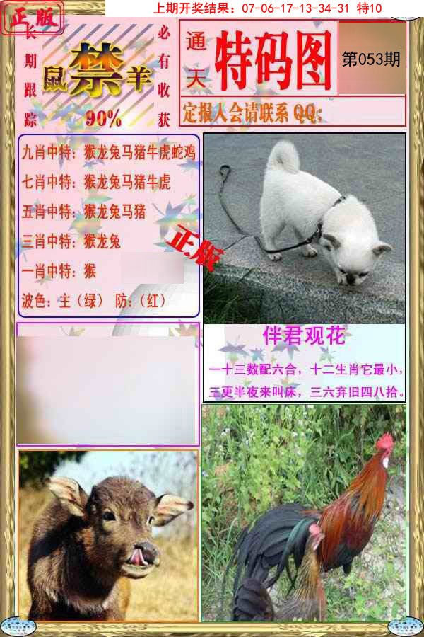 2025053期特码图