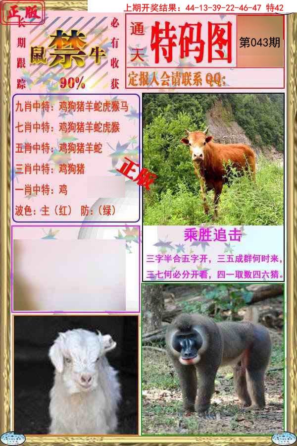 2025043期特码图