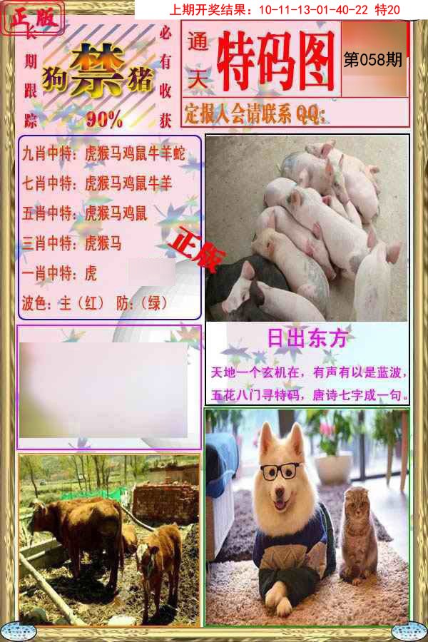 2025058期特码图