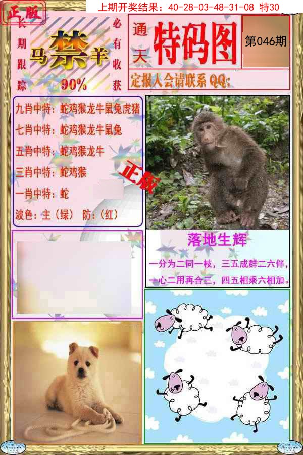 2025046期特码图