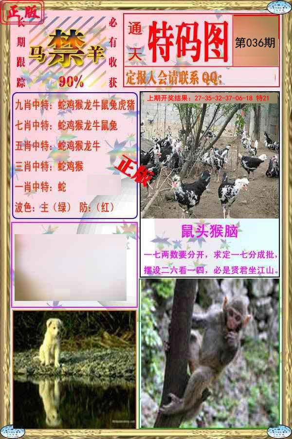 2025036期特码图