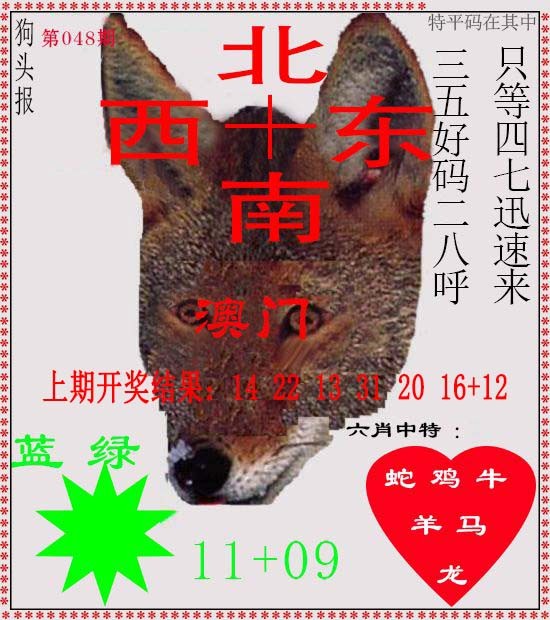 2025048期狗头报