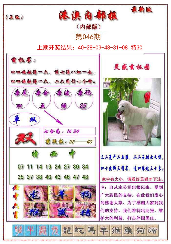 2025046期港澳报