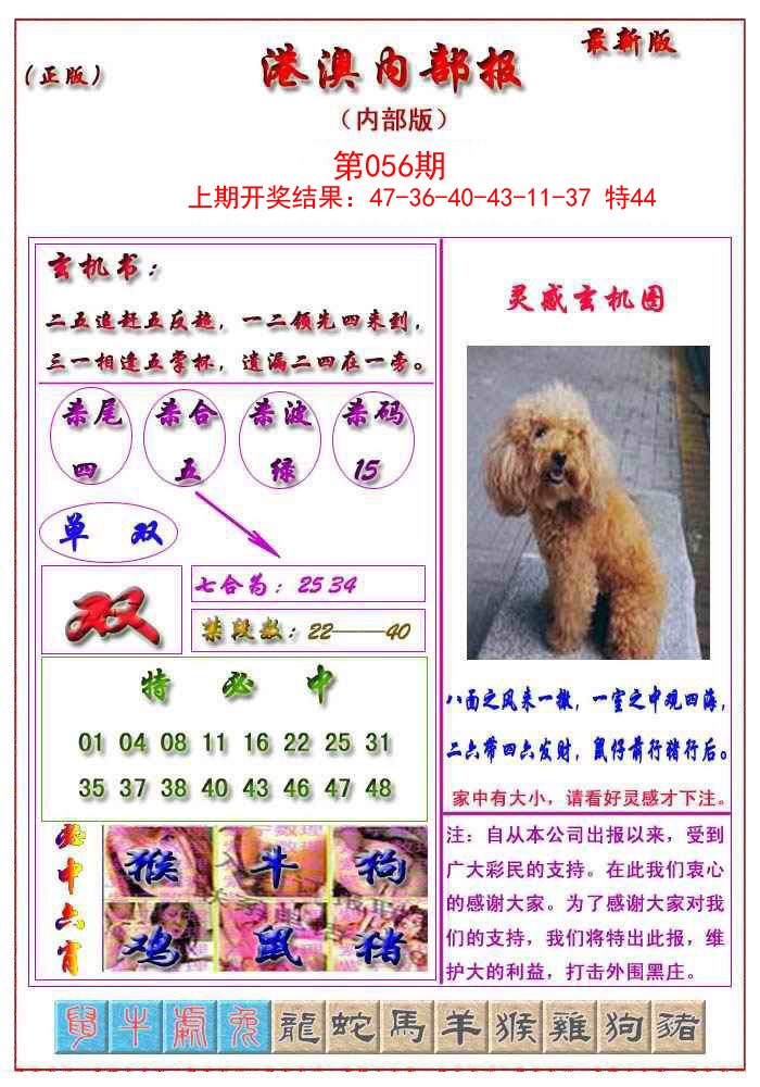 2025056期港澳报
