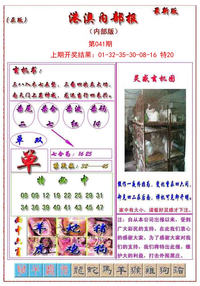 2025041期港澳报