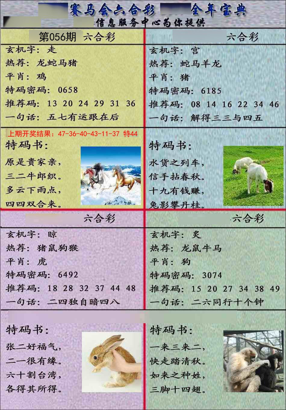 2025056期宝典报