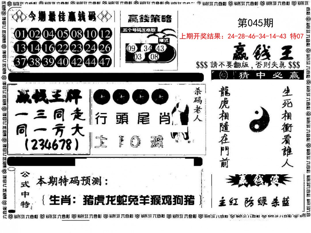 2025045期赢钱料