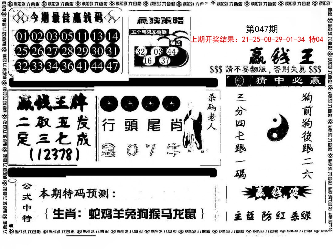 2025047期赢钱料