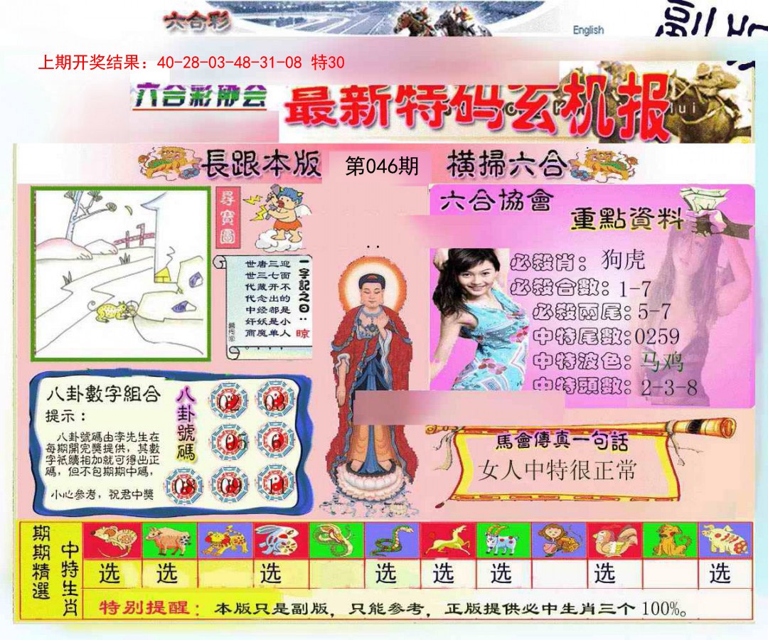 2025046期九龍内幕玄机报