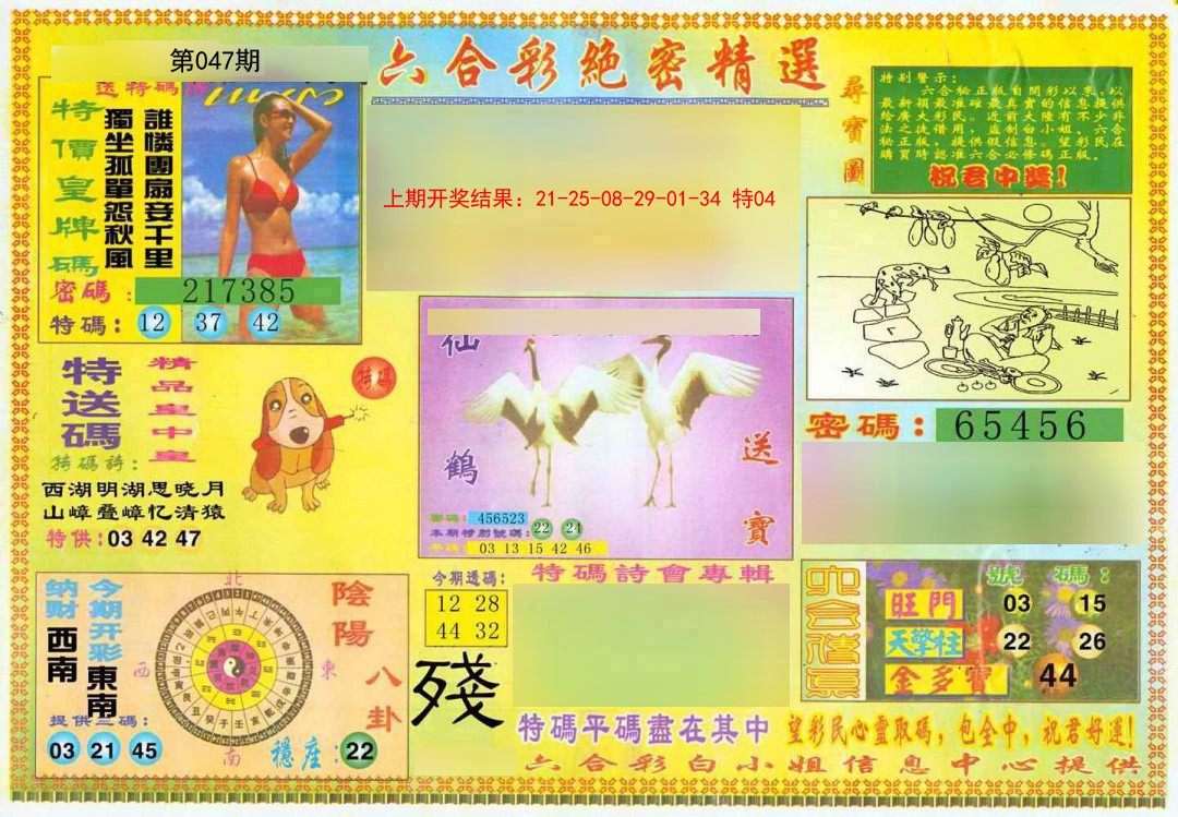 2025047期绝密精选A