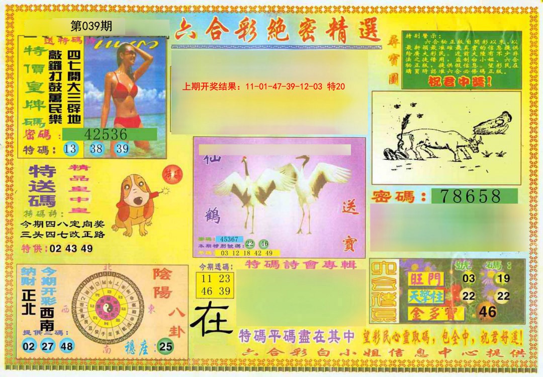 2025039期绝密精选A