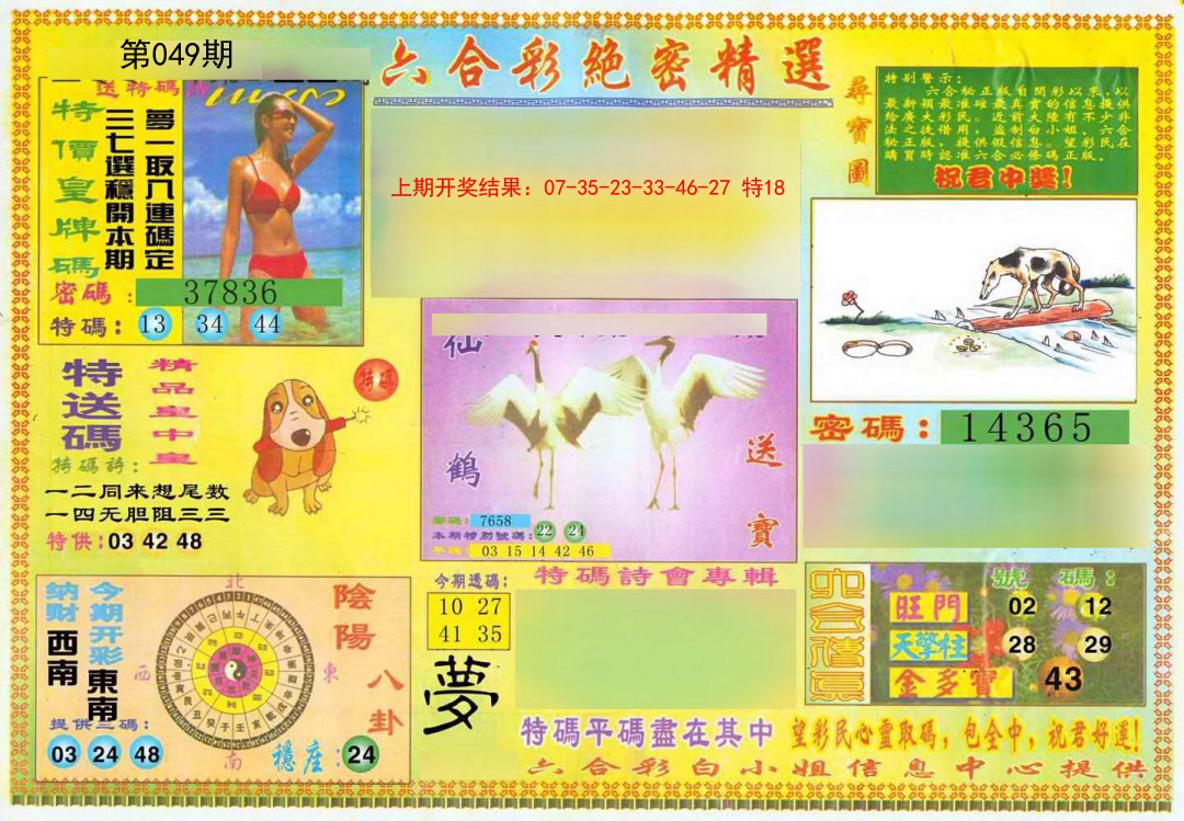 2025049期绝密精选A