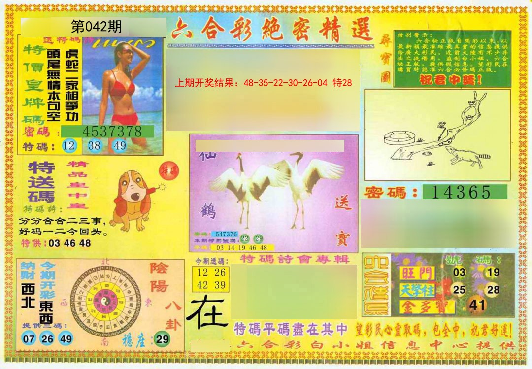 2025042期绝密精选A