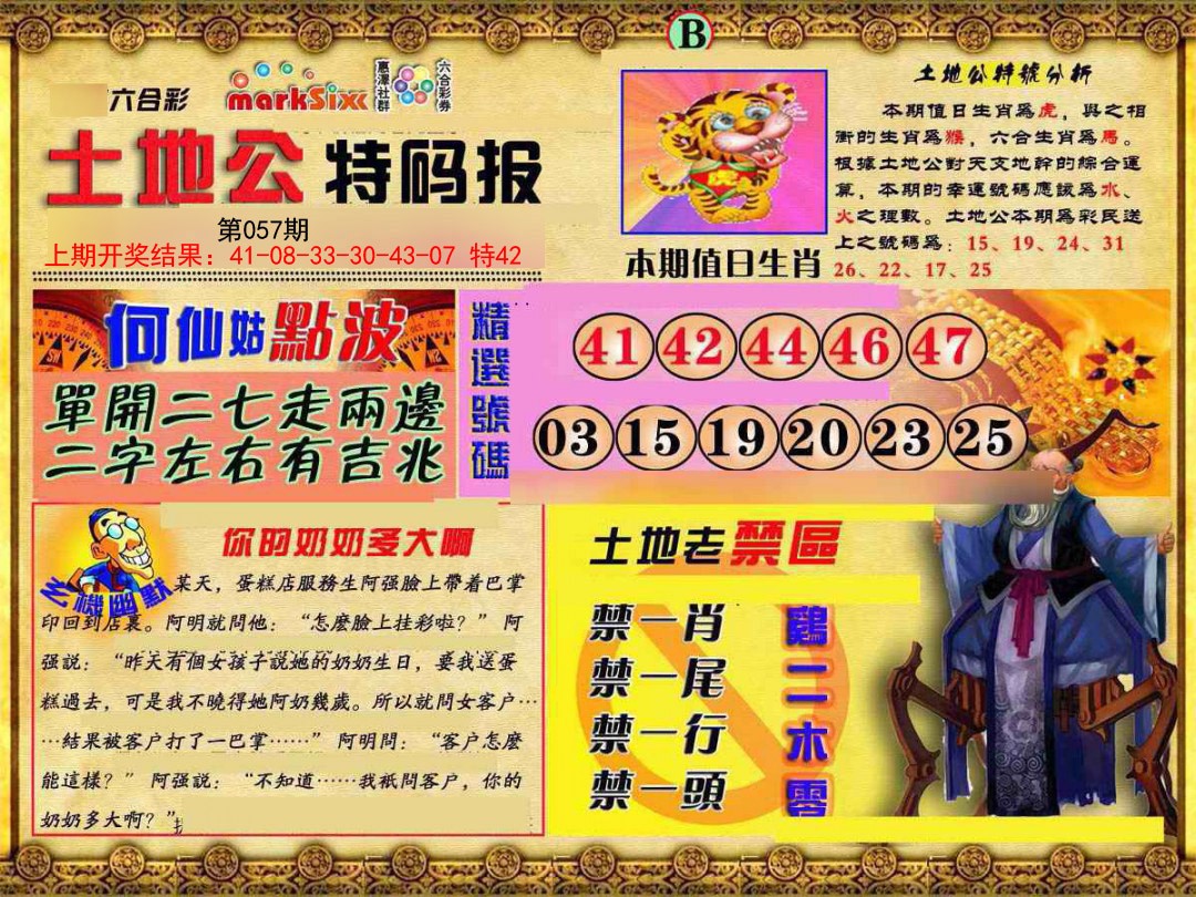 2025057期土地公特码报B