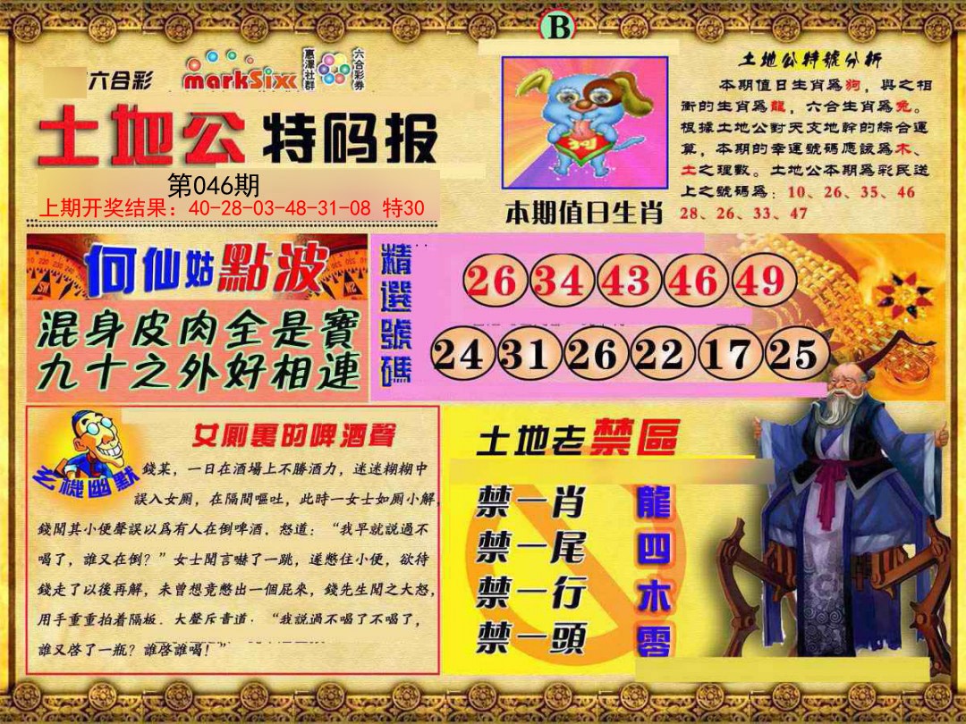 2025046期土地公特码报B