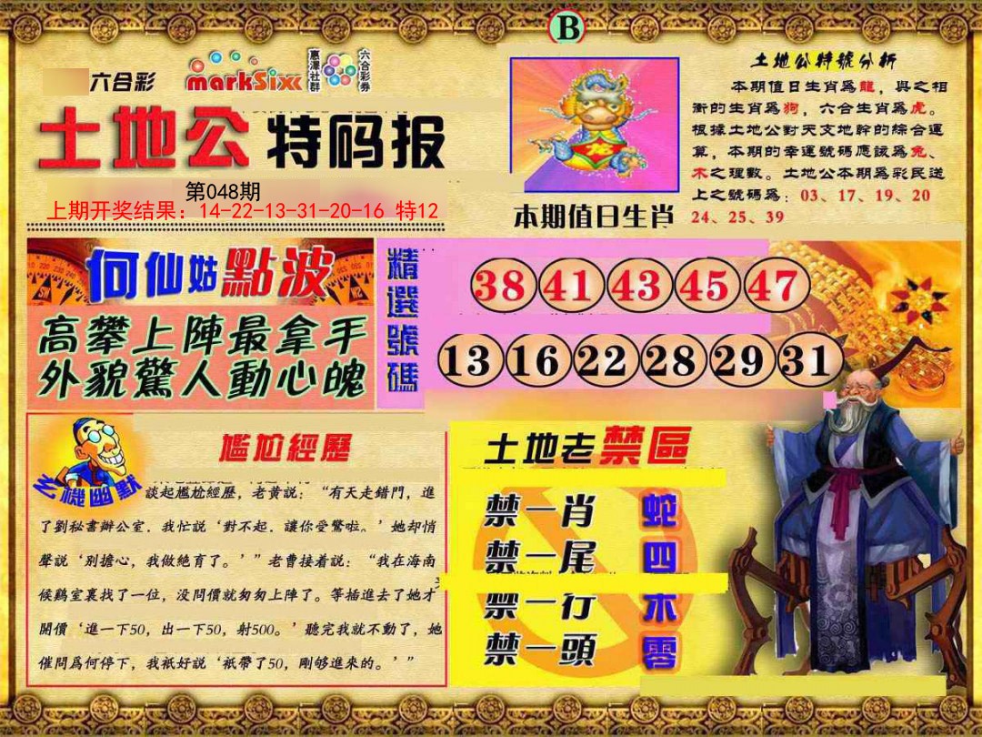 2025048期土地公特码报B