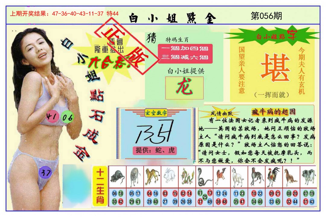 2025056期白小姐点金