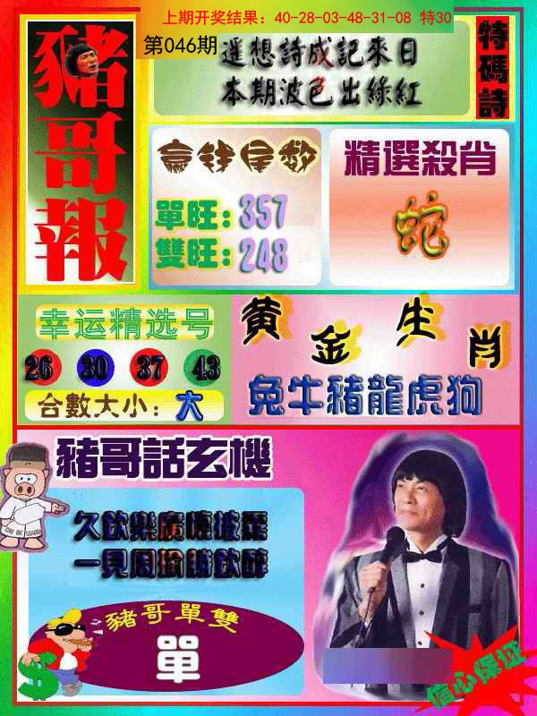 2025046期猪哥报