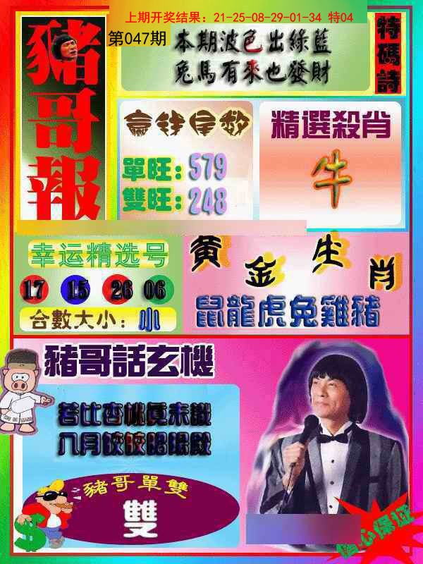 2025047期猪哥报
