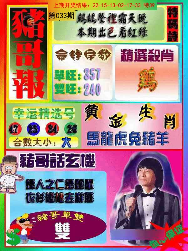 2025033期猪哥报