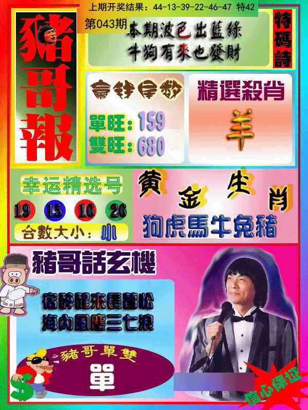 2025043期猪哥报
