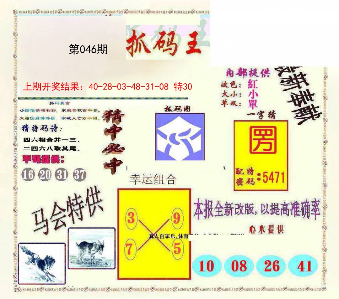 2025046期新抓码王